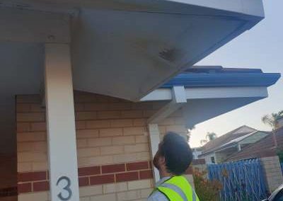 20201008 173727 Pest Inspection Perth & Termite Inspection Perth
