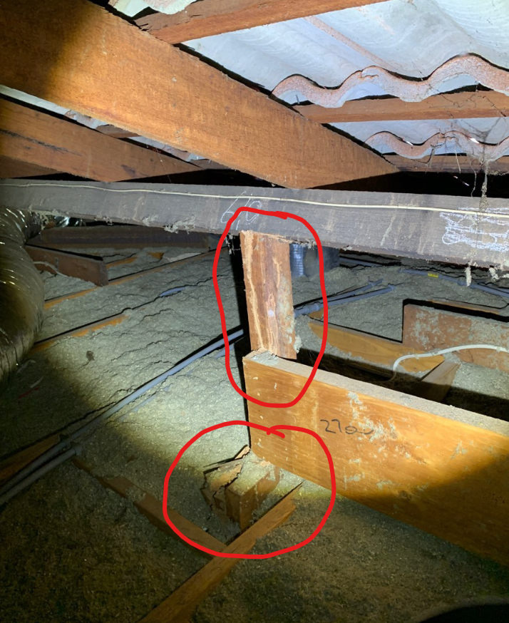 what does termite damage look like in a roof 4