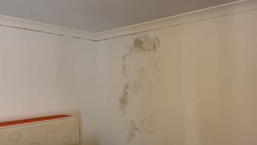 Mould Inspection Perth Unveils Roof Inspection Shockers